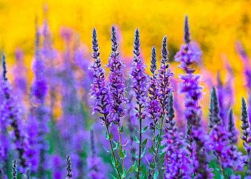 ARPG《致命躯壳2》全新预告 本作将于2026年发售